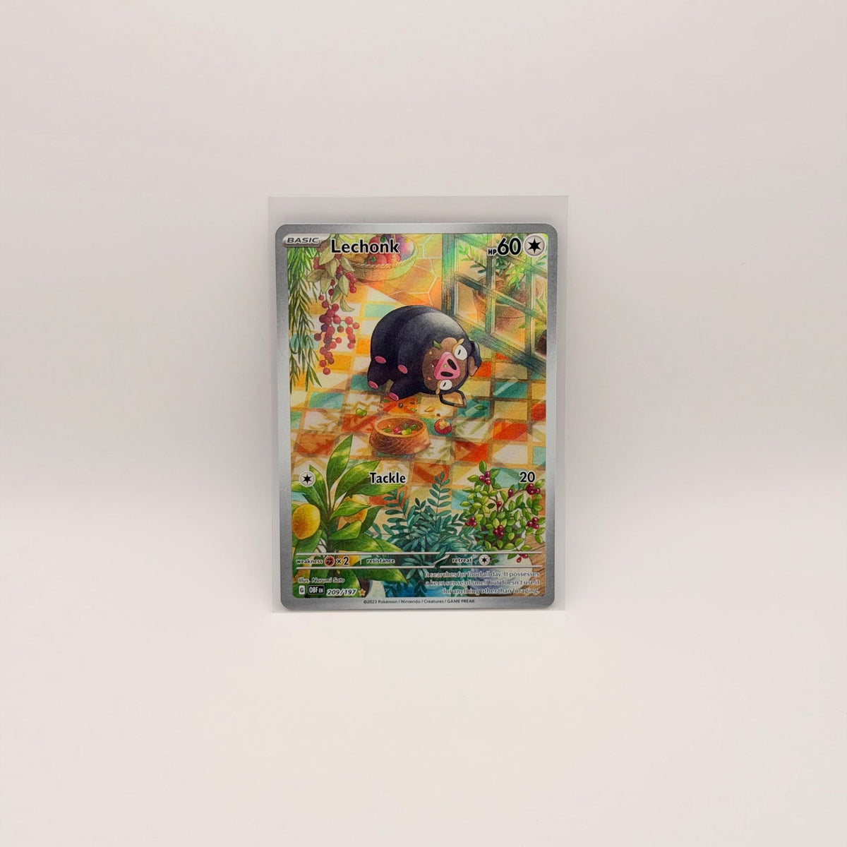 Pokémon TCG: Singles - Illustration Rare - FaveBox