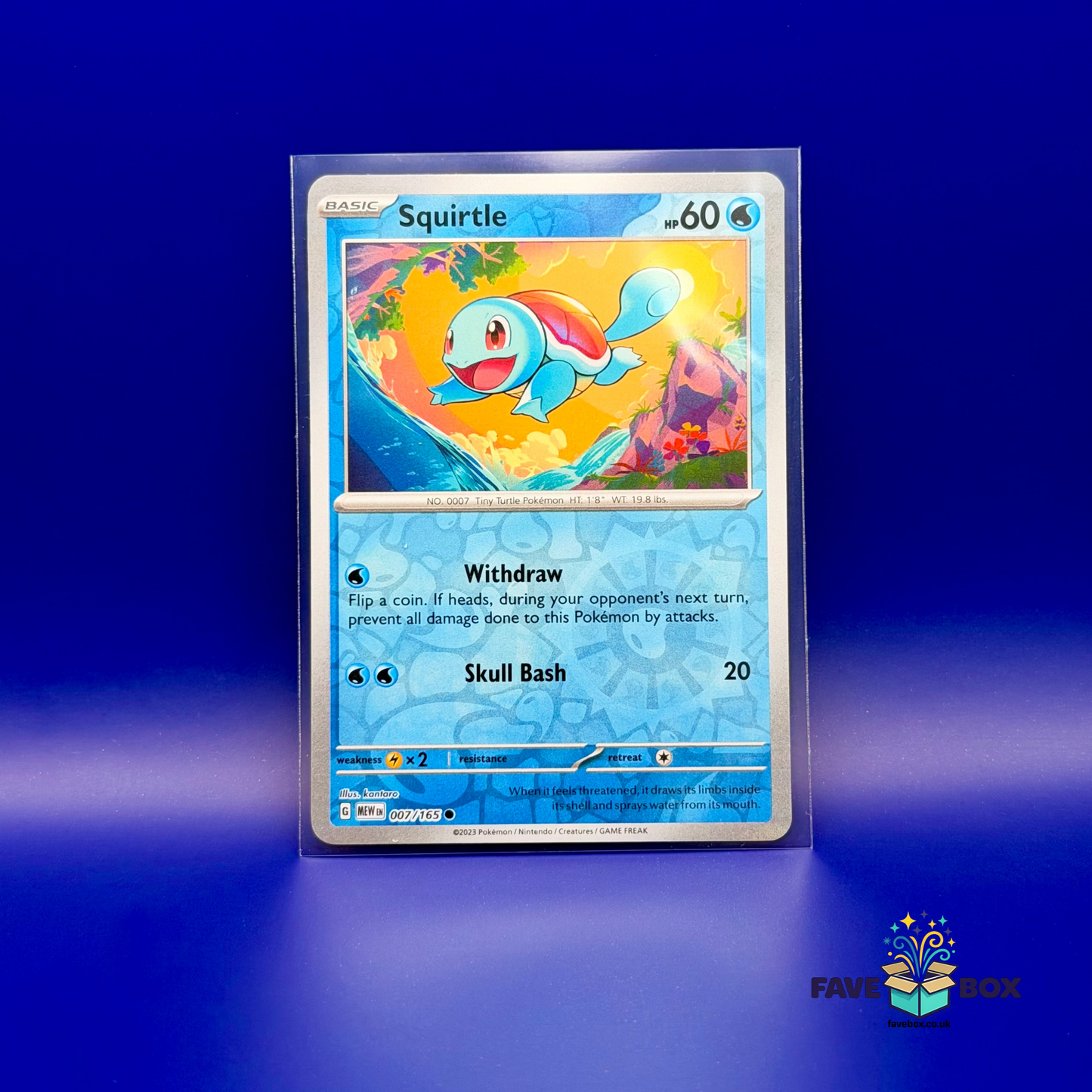 Squirtle TCG Card - FaveBox